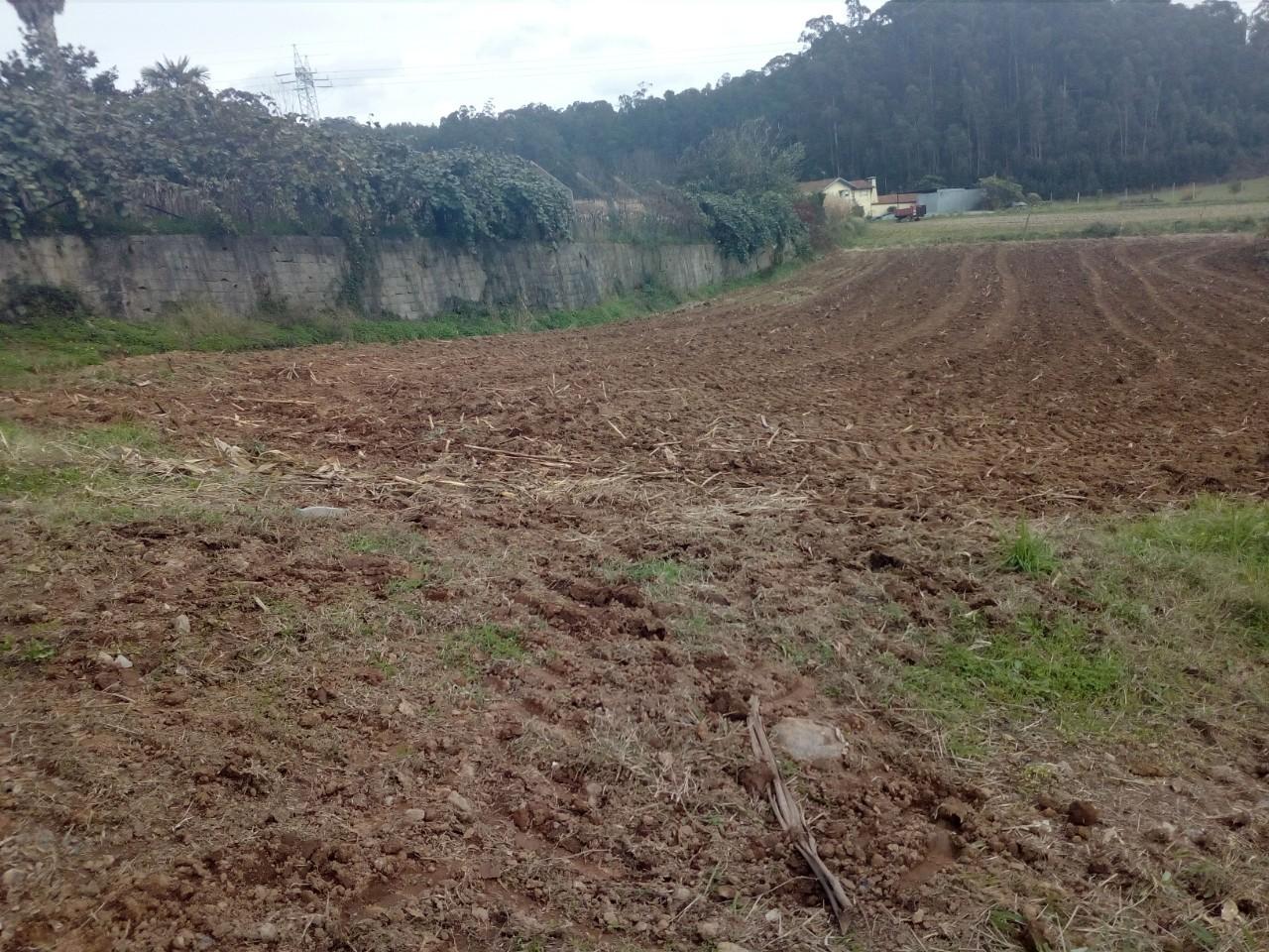 Terreno  Venda em Vila de Cucujães,Oliveira de Azeméis