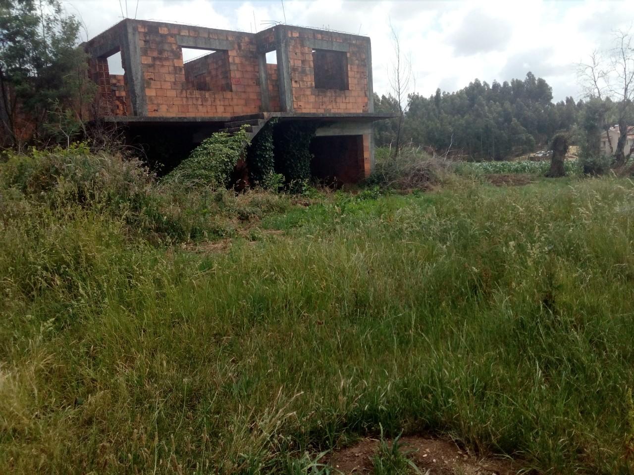 Terreno  Venda em Branca,Albergaria-a-Velha