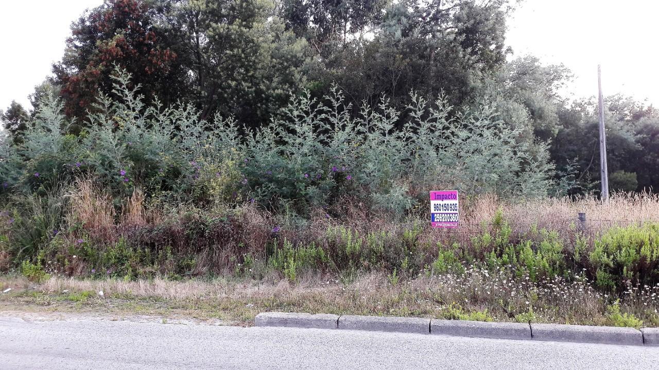 Terreno  Venda em Oliveira de Azeméis, Santiago de Riba-Ul, Ul, Macinhata da Seixa e Madail,Oliveira de Azeméis