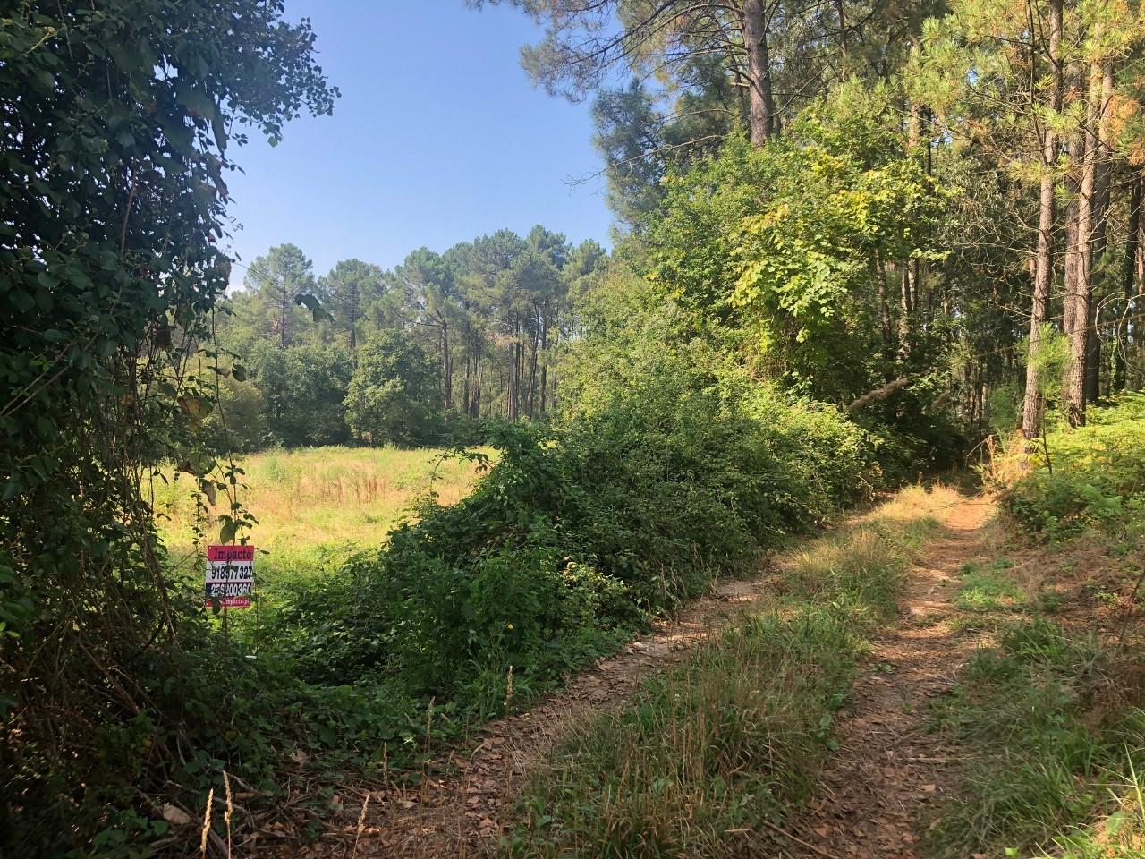 Terreno  Venda em Caldas de São Jorge e Pigeiros,Santa Maria da Feira