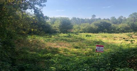 Terreno lugar Cortinha - Pigeiros, Santa Maria da Feira