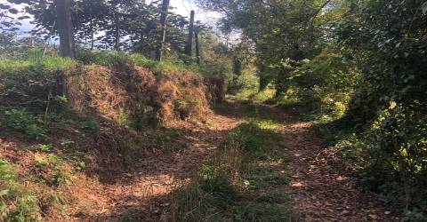Terreno lugar Cortinha - Pigeiros, Santa Maria da Feira
