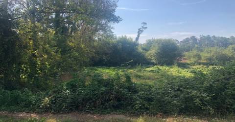 Terreno lugar Cortinha - Pigeiros, Santa Maria da Feira