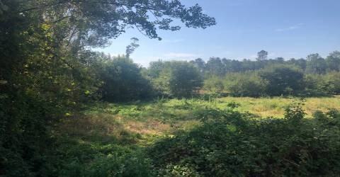 Terreno lugar Cortinha - Pigeiros, Santa Maria da Feira