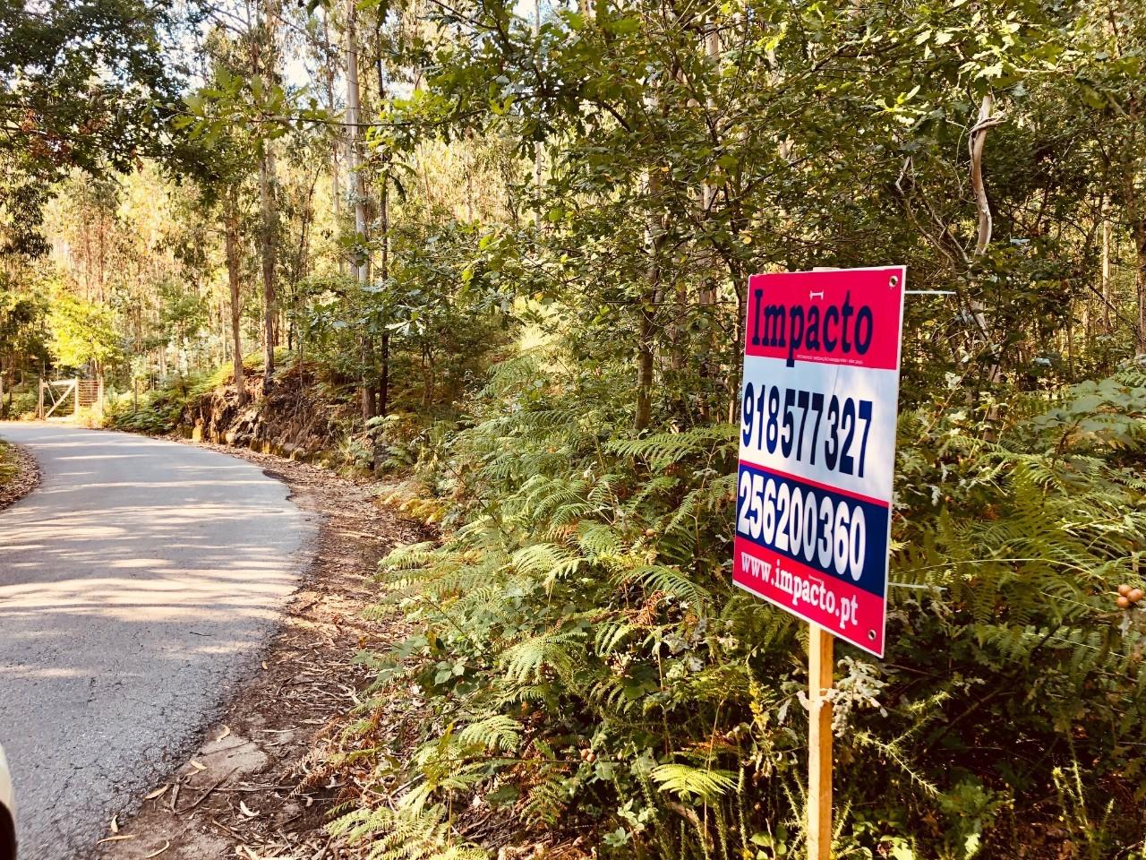 Terreno  Venda em Romariz,Santa Maria da Feira