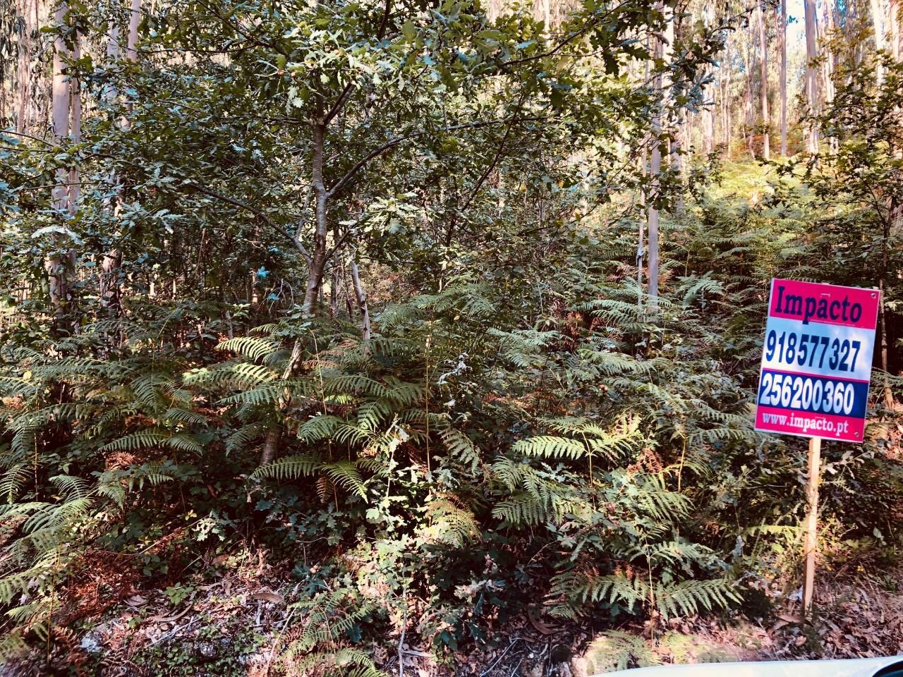 Terreno  Venda em Romariz,Santa Maria da Feira