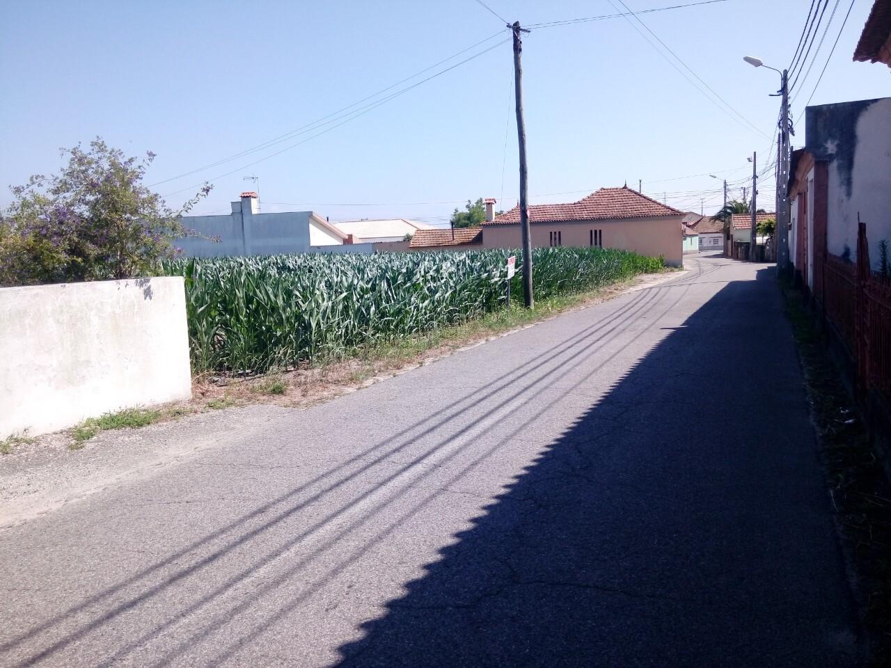 Terreno  Venda em Pardilhó,Estarreja