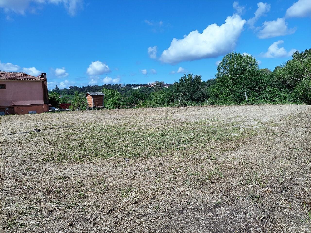 Terreno  Venda em Oliveira de Azeméis, Santiago de Riba-Ul, Ul, Macinhata da Seixa e Madail,Oliveira de Azeméis