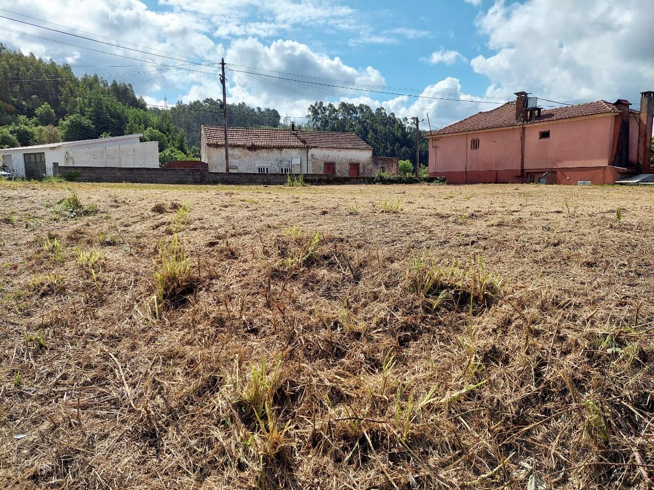 Terreno  Venda em Oliveira de Azeméis, Santiago de Riba-Ul, Ul, Macinhata da Seixa e Madail,Oliveira de Azeméis