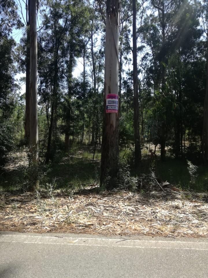 Terreno  Venda em Avanca,Estarreja