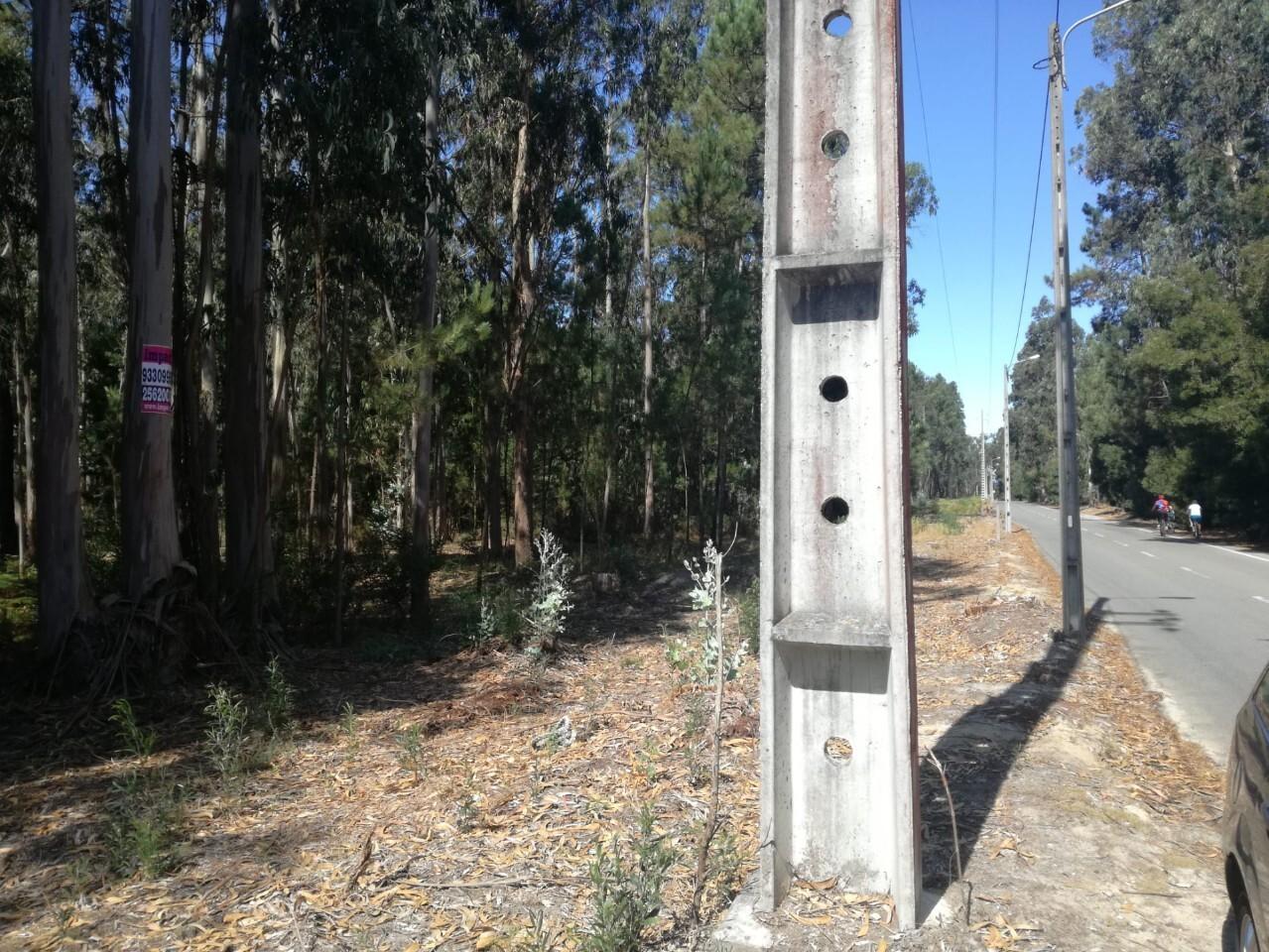 Terreno  Venda em Avanca,Estarreja