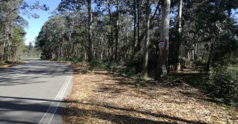 Terreno Rústico em Avanca, Aveiro.