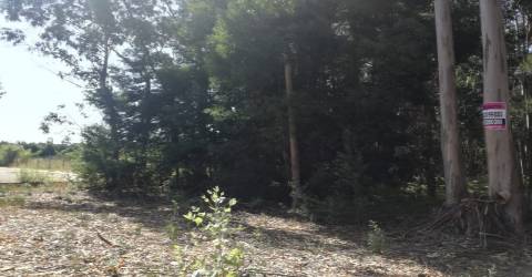 Terreno Rústico em Avanca, Aveiro.