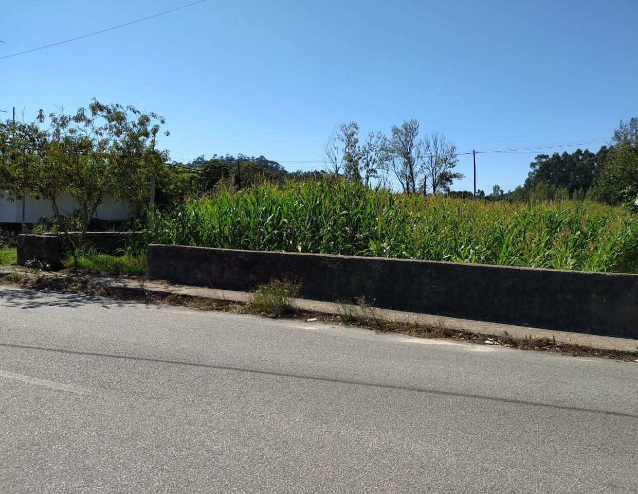 Terreno  Venda em Romariz,Santa Maria da Feira