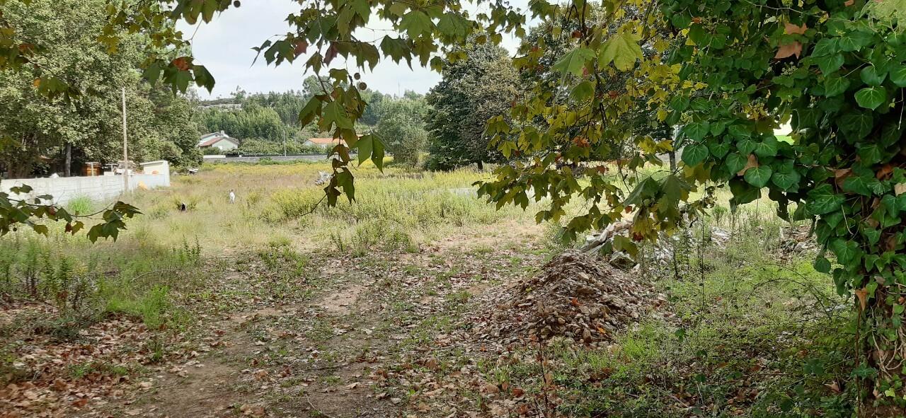 Terreno  Venda em São Roque,Oliveira de Azeméis