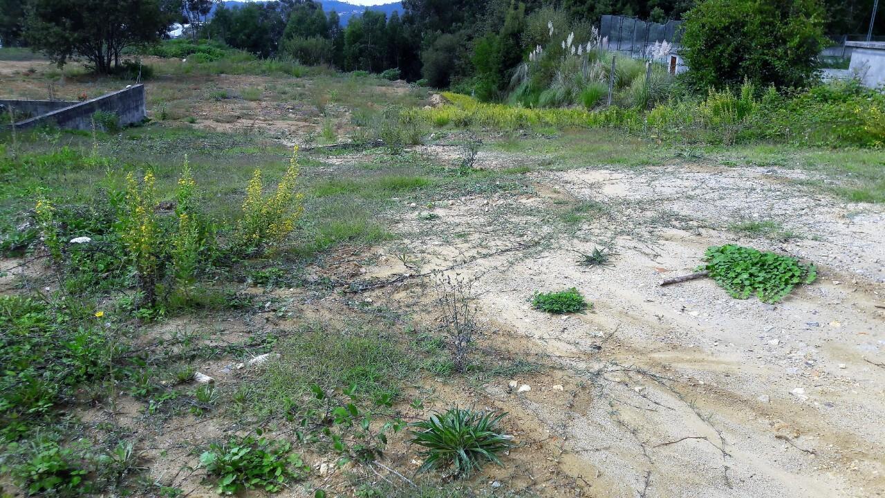 Terreno  Venda em Oliveira de Azeméis, Santiago de Riba-Ul, Ul, Macinhata da Seixa e Madail,Oliveira de Azeméis