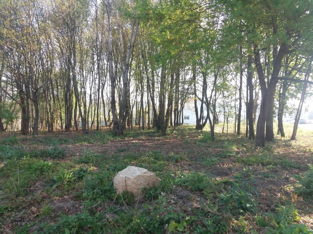 Terreno  Venda em Lobão, Gião, Louredo e Guisande,Santa Maria da Feira