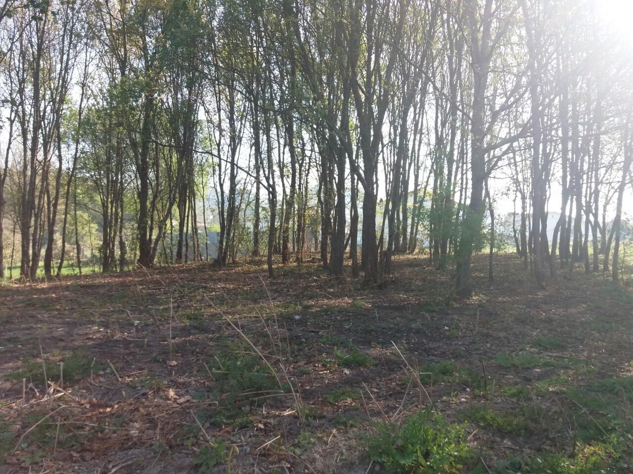 Terreno  Venda em Lobão, Gião, Louredo e Guisande,Santa Maria da Feira