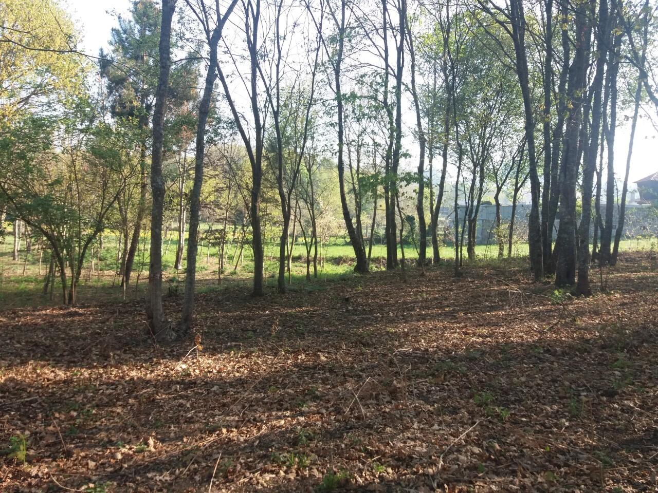 Terreno  Venda em Lobão, Gião, Louredo e Guisande,Santa Maria da Feira