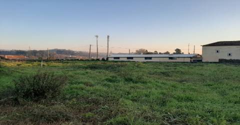 Terreno em Vila de Cucujães, Oliveira de Azeméis