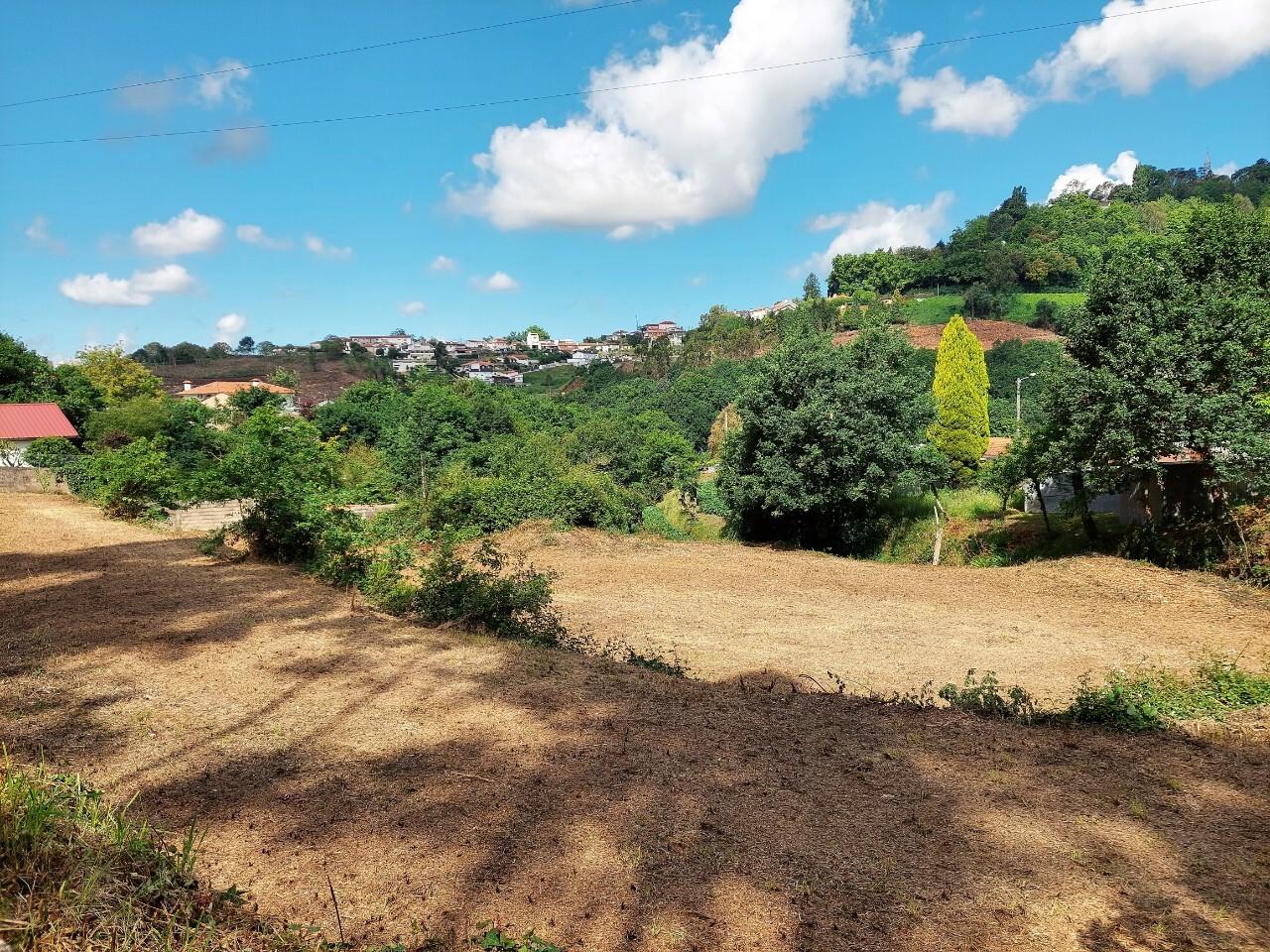 Terreno  Venda em Oliveira de Azeméis, Santiago de Riba-Ul, Ul, Macinhata da Seixa e Madail,Oliveira de Azeméis