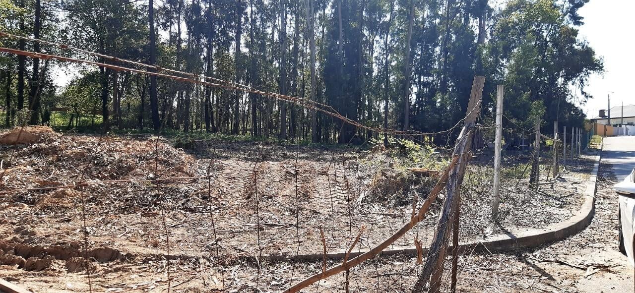 Terreno  Venda em Santa Maria da Feira, Travanca, Sanfins e Espargo,Santa Maria da Feira