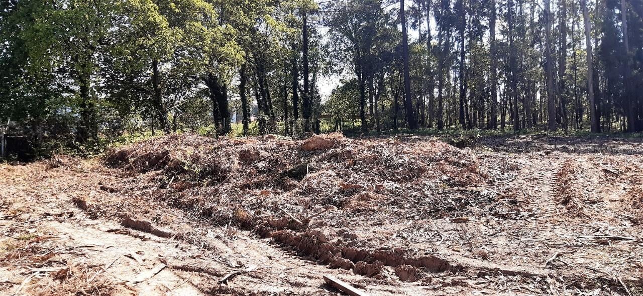 Terreno  Venda em Santa Maria da Feira, Travanca, Sanfins e Espargo,Santa Maria da Feira