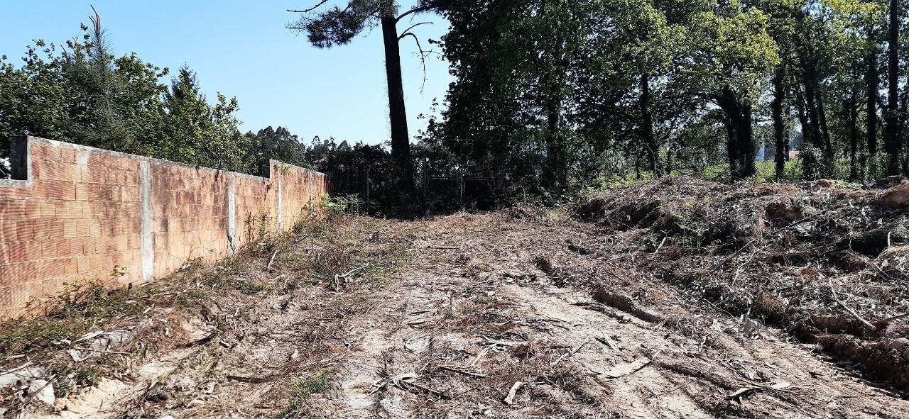 Terreno  Venda em Santa Maria da Feira, Travanca, Sanfins e Espargo,Santa Maria da Feira