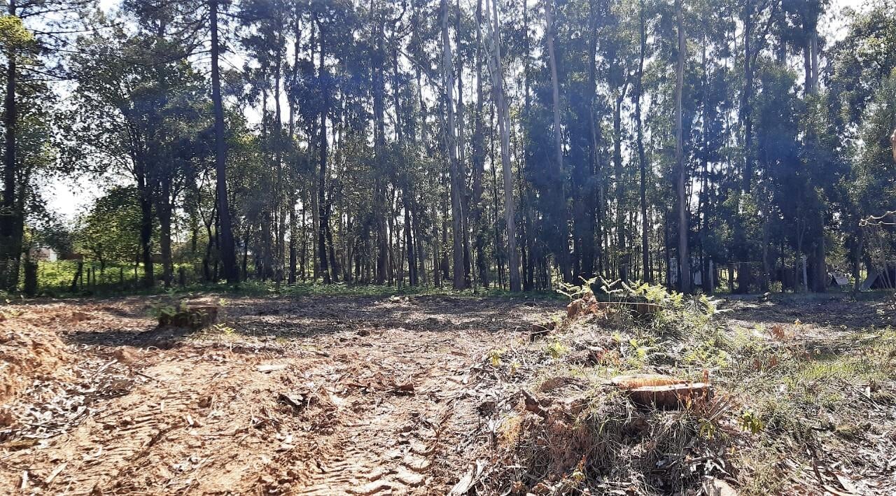 Terreno  Venda em Santa Maria da Feira, Travanca, Sanfins e Espargo,Santa Maria da Feira