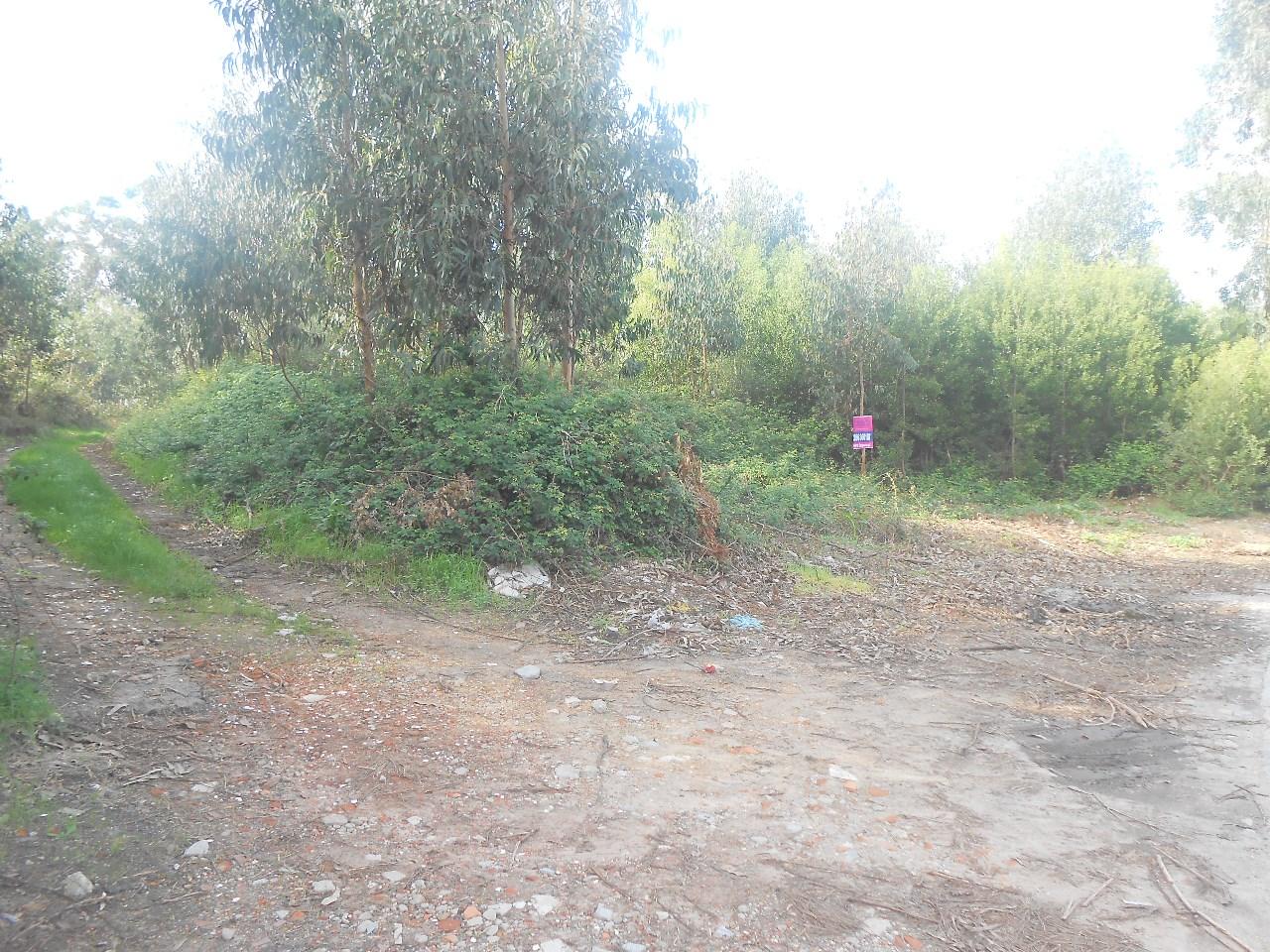 Terreno  Venda em São Félix da Marinha,Vila Nova de Gaia