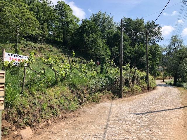 Terreno  Venda em Melres e Medas,Gondomar