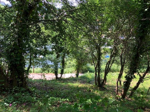 Terreno  Venda em Melres e Medas,Gondomar