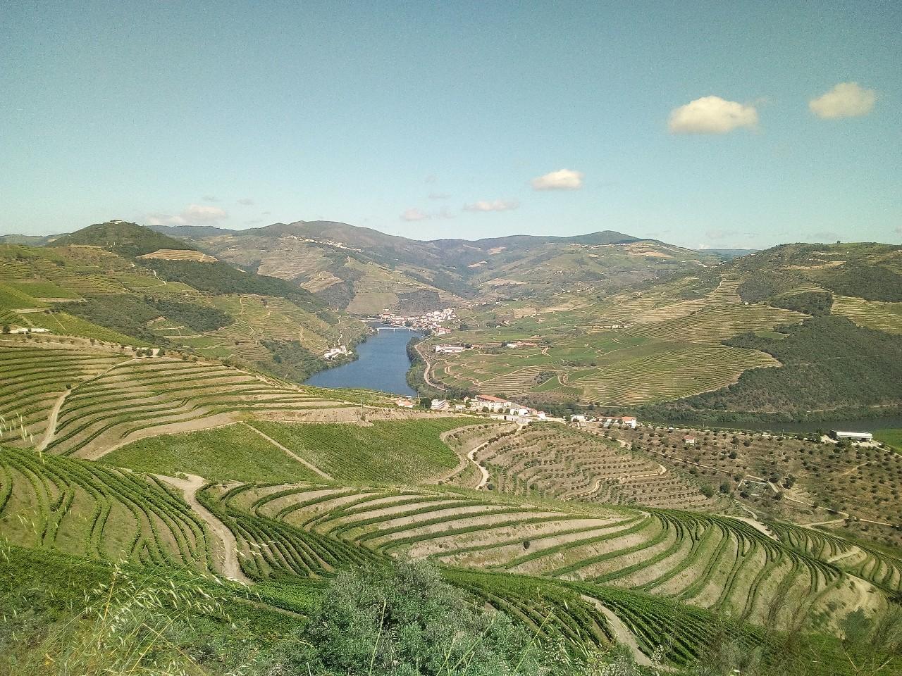 Terreno  Venda em Soutelo do Douro,São João da Pesqueira