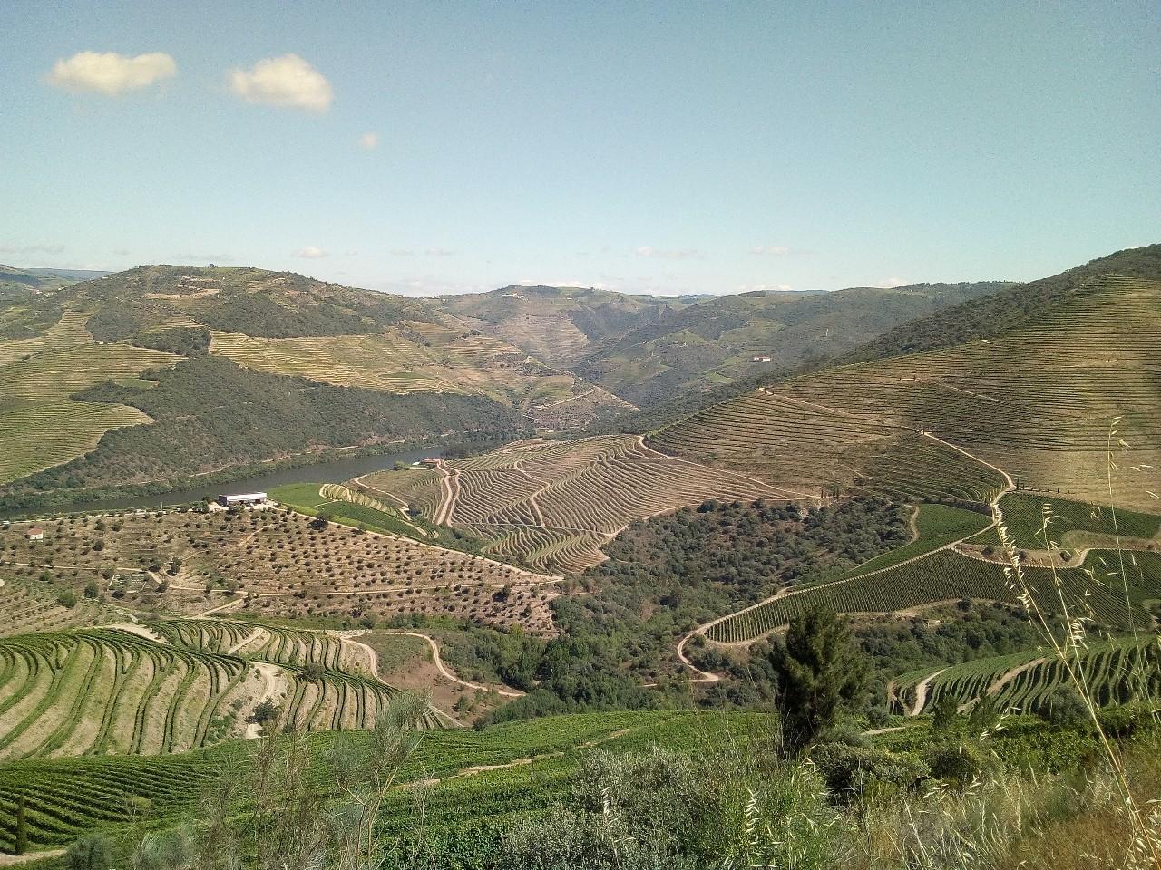 Terreno  Venda em Soutelo do Douro,São João da Pesqueira