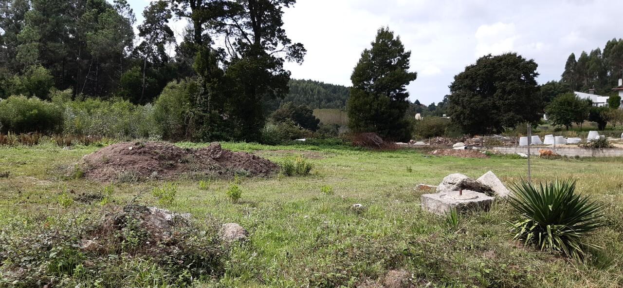 Terreno  Venda em São Roque,Oliveira de Azeméis