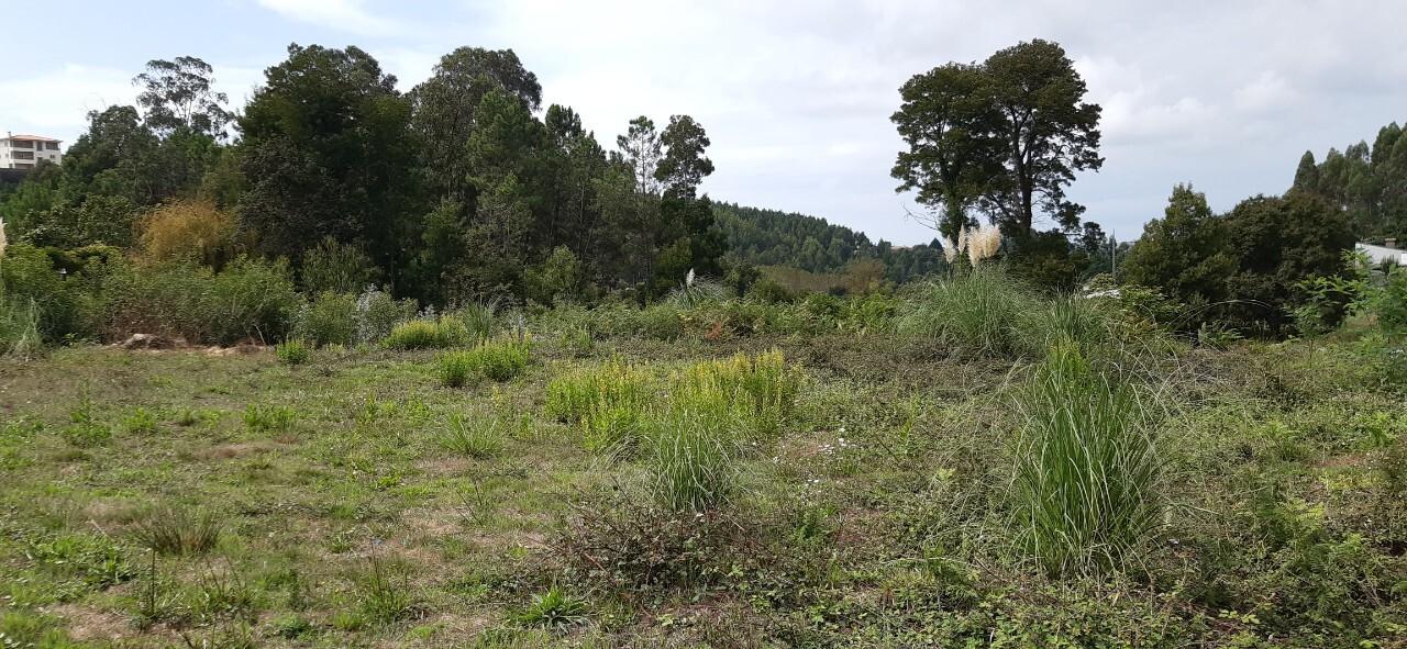 Terreno  Venda em São Roque,Oliveira de Azeméis