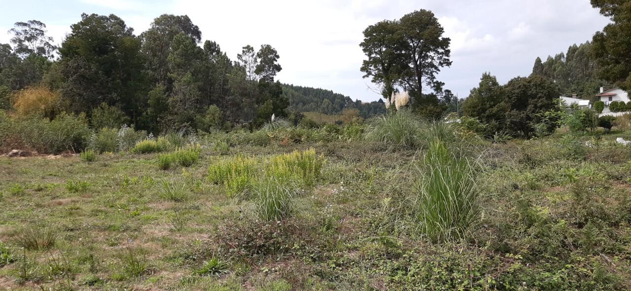 Terreno  Venda em São Roque,Oliveira de Azeméis