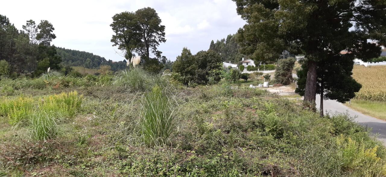 Terreno  Venda em São Roque,Oliveira de Azeméis