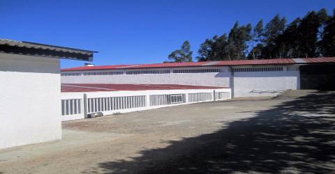 Armazém na Vila de Cucujães,Oliveira de Azeméis