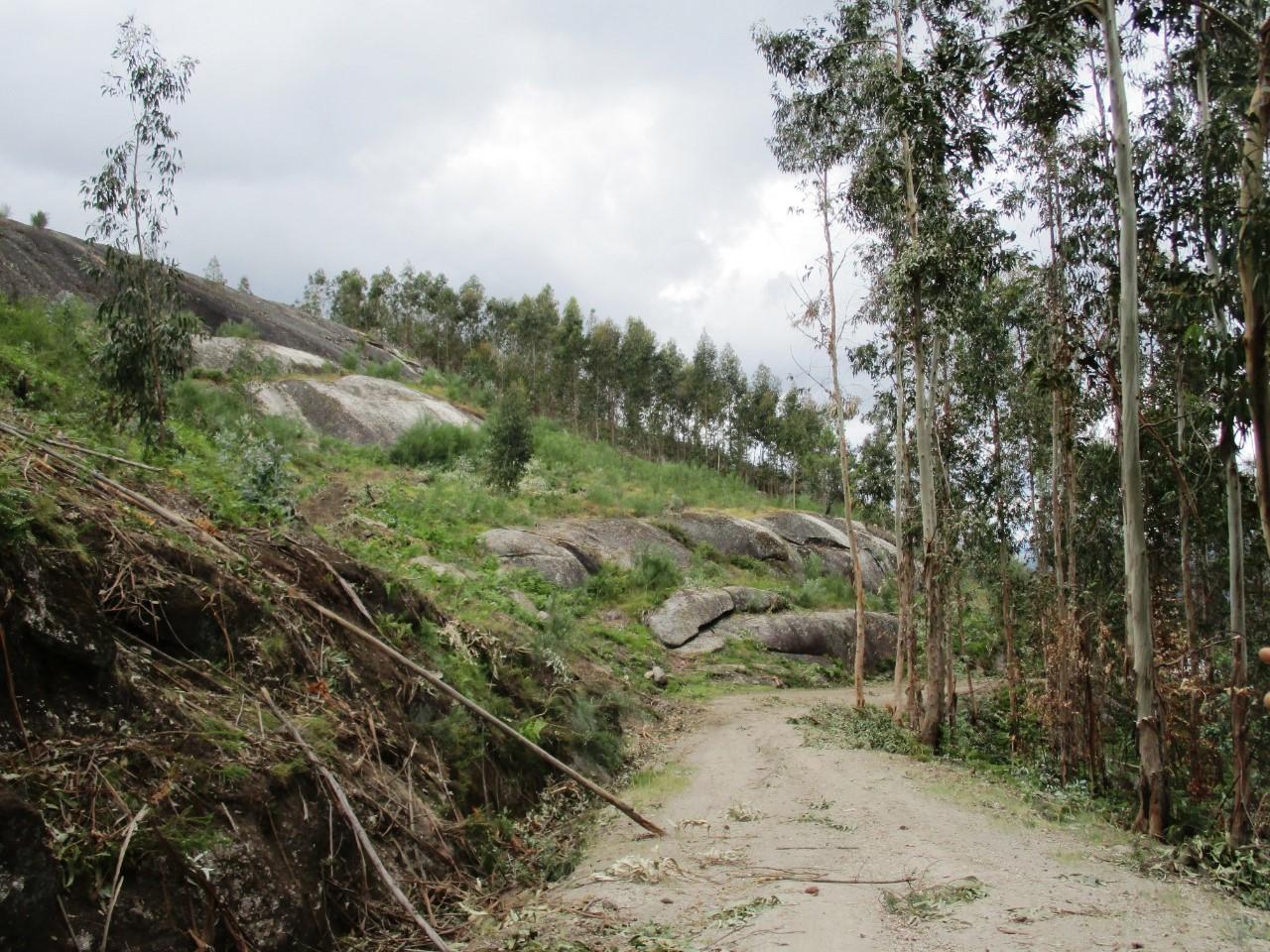 Terreno  Venda em Guilhofrei,Vieira do Minho