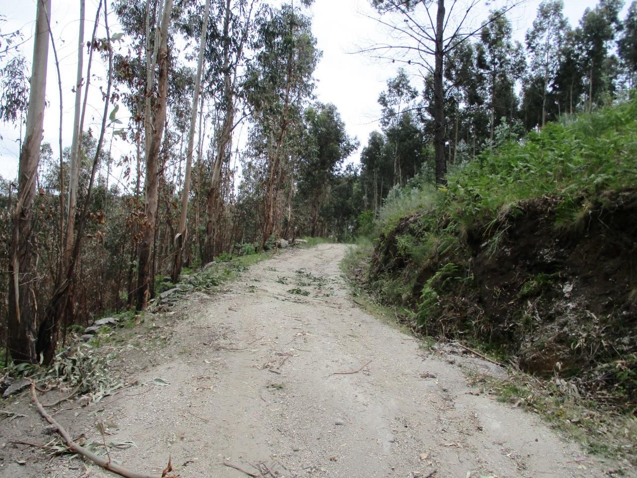 Terreno  Venda em Guilhofrei,Vieira do Minho