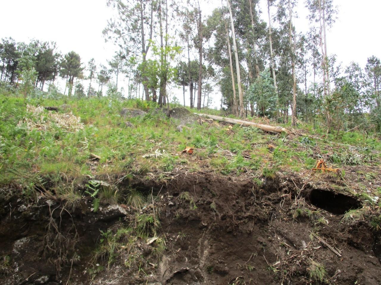 Terreno  Venda em Guilhofrei,Vieira do Minho