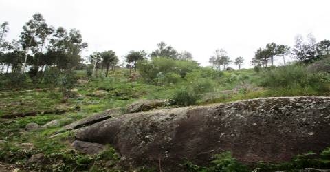 Terreno  Venda em Guilhofrei,Vieira do Minho