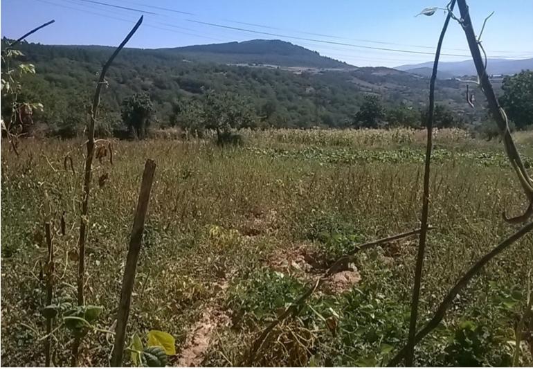 Terreno  Venda em Vilar de Ossos,Vinhais