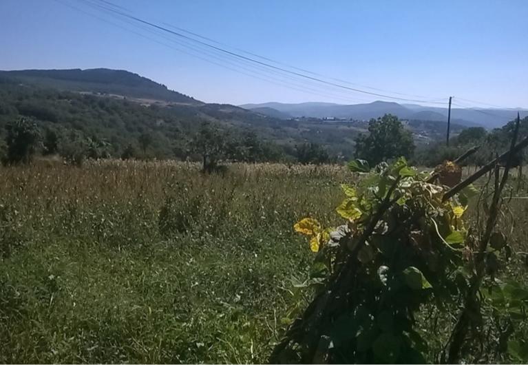 Terreno  Venda em Vilar de Ossos,Vinhais