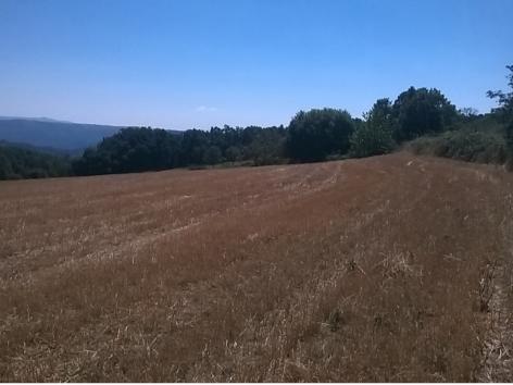 Terreno  Venda em Vilar de Ossos,Vinhais