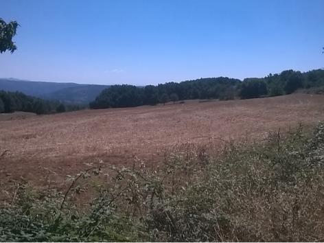 Terreno  Venda em Vilar de Ossos,Vinhais