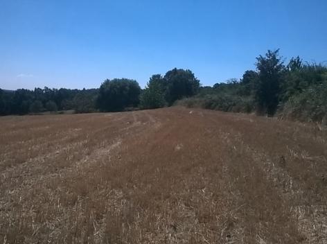 Terreno  Venda em Vilar de Ossos,Vinhais