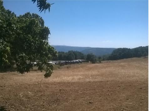 Terreno  Venda em Vilar de Ossos,Vinhais