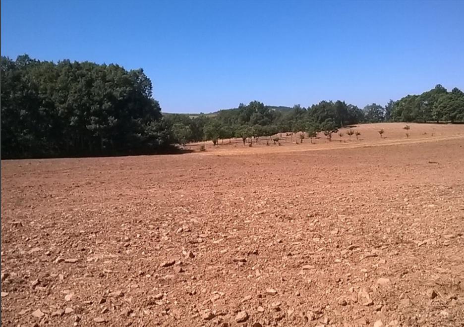 Terreno  Venda em Vilar de Ossos,Vinhais